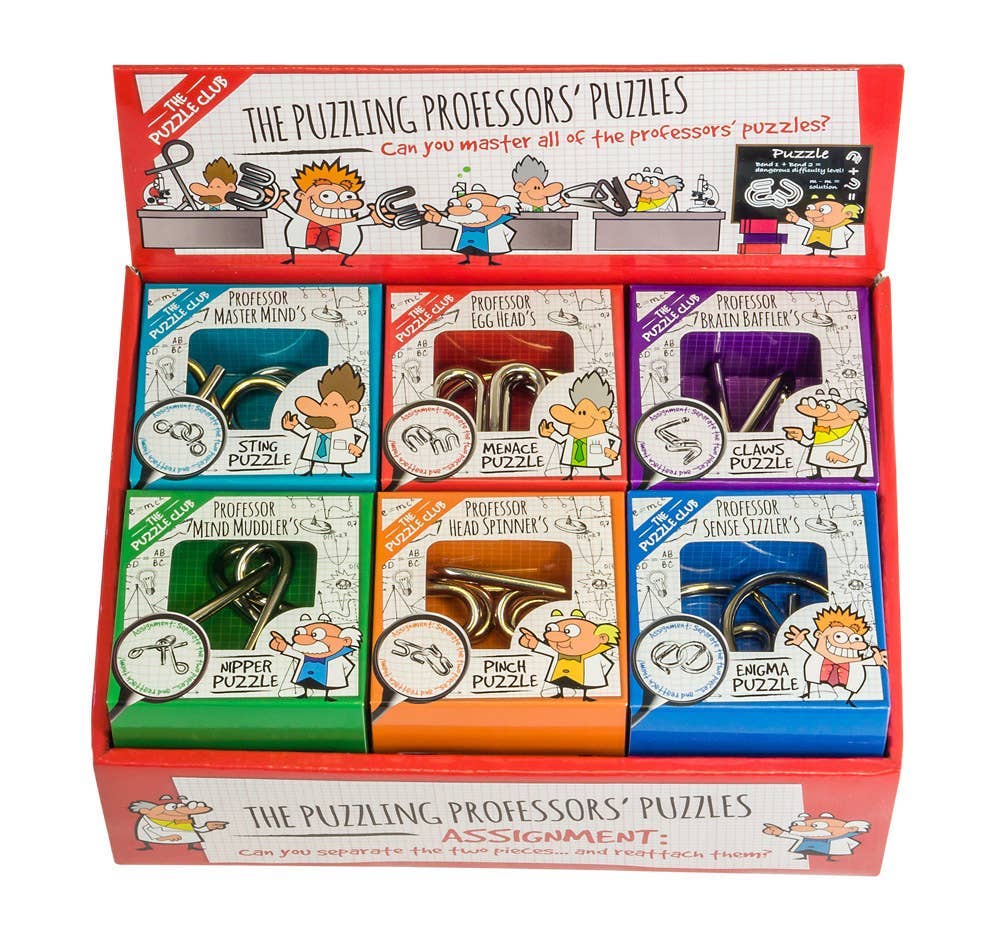 Puzzling Professor Display