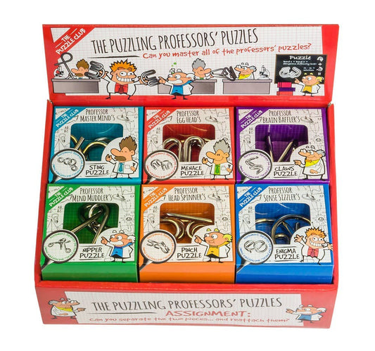 Puzzling Professor Display